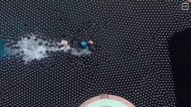 Можно ли плавать в «теневых шариках»? [Veritasium] смотреть онлайн