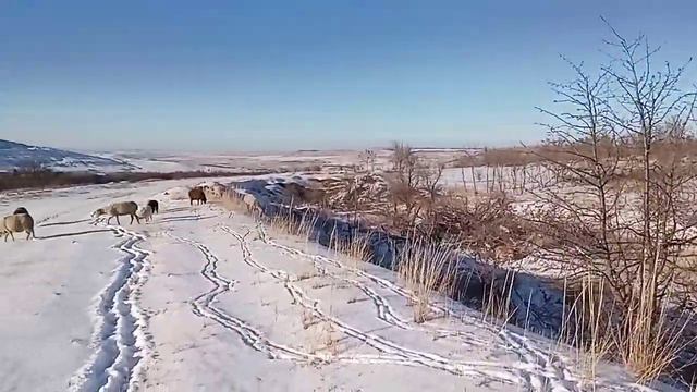 10 января 2024 г. (4).mp4 смотреть онлайн