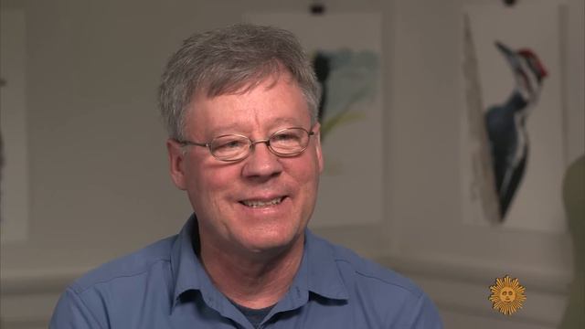 Bird illustrator David Allen Sibley смотреть онлайн