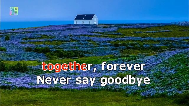 NEVER SAY GOODBYE bon jovi karaoke смотреть онлайн