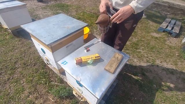 результаты обработки от клеща варроа. сильная заклещеванность. апифлум работает 23.03.2023 смотреть онлайн