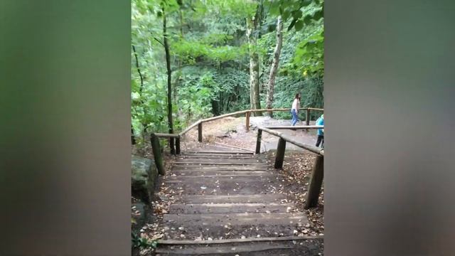 Дрезден - Саксонская Швейцария ?? Dresden смотреть онлайн