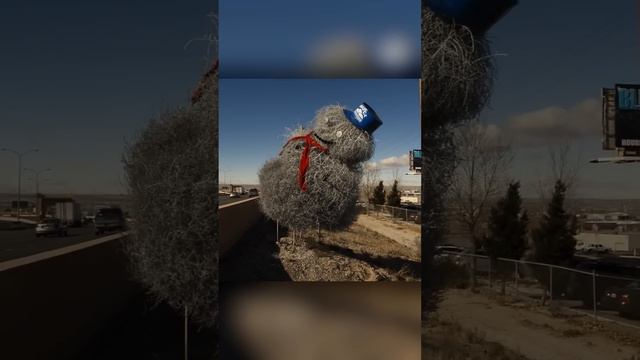 Куда катятся Перекати-поле смотреть онлайн