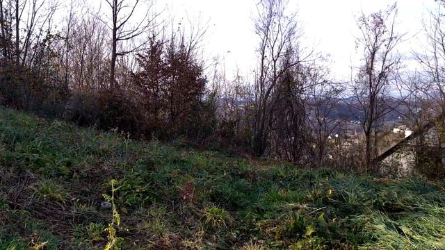 Представляется к продаже видовой участок в центральном Сочи! Закрытая улица, отличные соседи, вид! смотреть онлайн