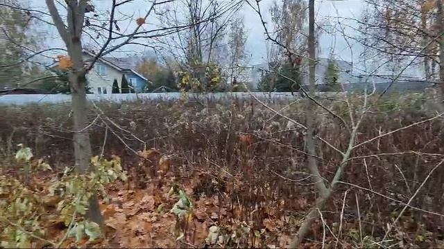 Видео 5243 смотреть онлайн