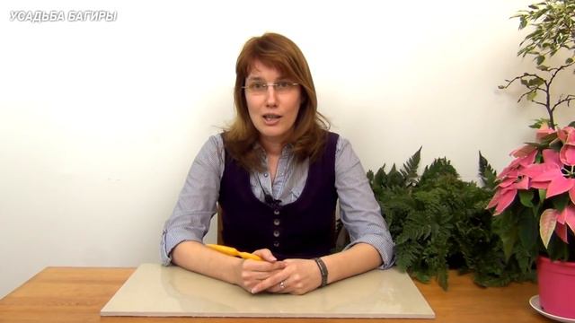 Обращение к подписчикам смотреть онлайн