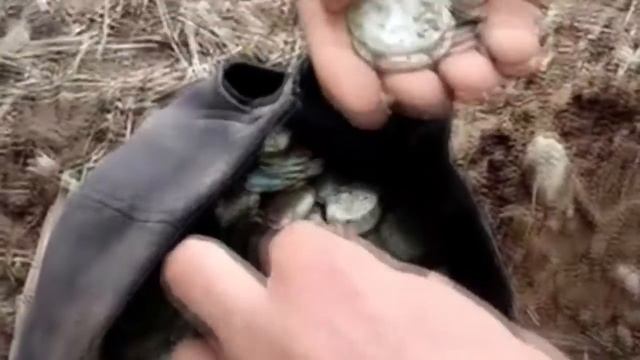 НАШЛИ КЛАД СЕРЕБРЯНЫХ МОНЕТ НИКОЛАЯ ВТОРОГО! смотреть онлайн
