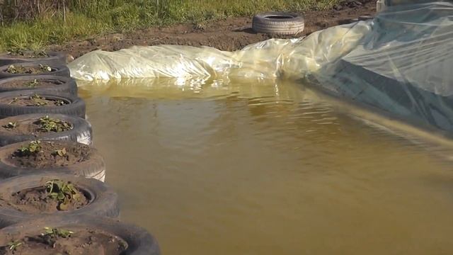 ? Новое Биоплато Фонтан Водопад Искусственный пруд для разведения рыбы смотреть онлайн