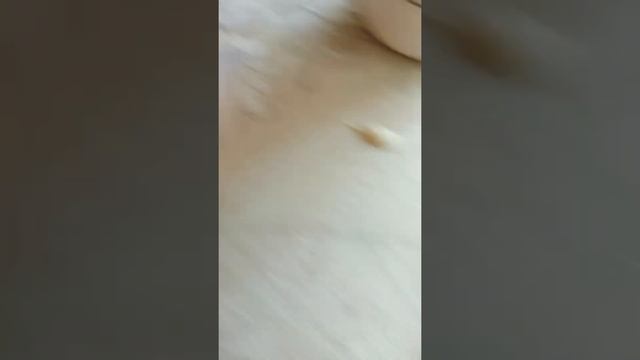 Как быстро и легко приготовить мороженое смотреть онлайн