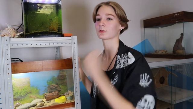 Тайная жизнь домашних животных. Ящерица смотреть онлайн