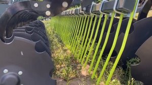 VELES БДП. Обзор дисковой бороны для работы в самых тяжелых условиях