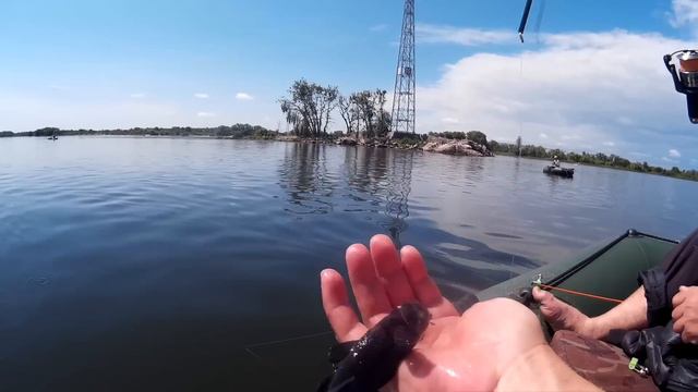 И снова Днепр радует уловом. Карась. Плотва. Густера. Лещ. смотреть онлайн