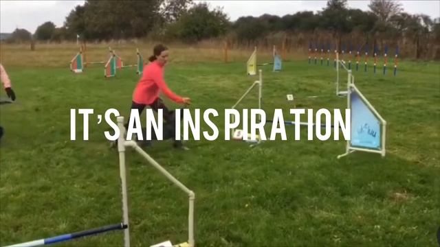 AGILITY TRAINING IN KALININGRAD аджилити тренировки в Калининграде смотреть онлайн