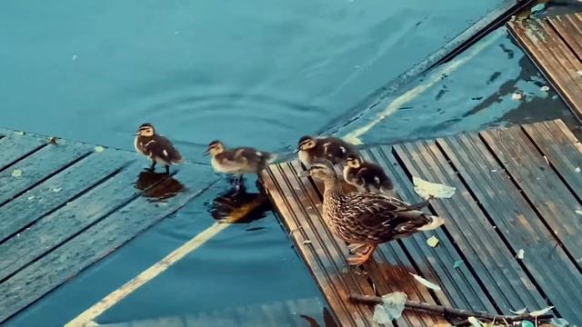 МГНОВЕНИЕ | стихи о любви | поэт Маша Майя | про любовь | по любви | #машамайя #стихиолюбви смотреть онлайн