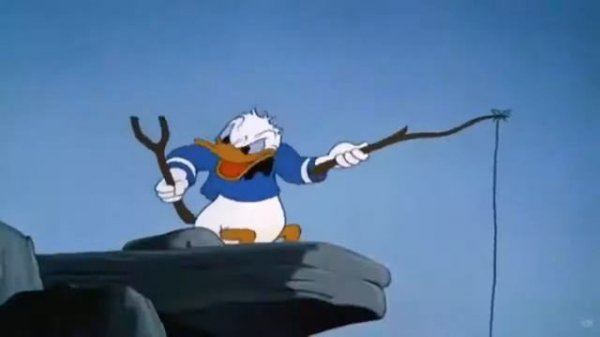 Дональд дак и его друзья