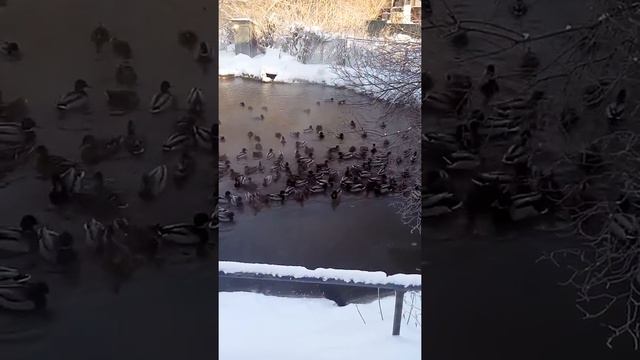 Уфа 2018 смотреть онлайн