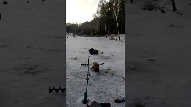 Утренний видеообзор 15 февраля. смотреть онлайн