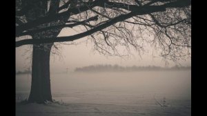 Сны о чем-то большем (cover Аквариум)