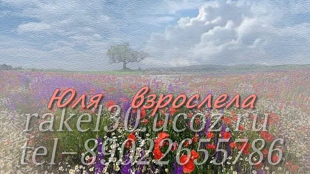 слайд шоу подарок на свадьбу смотреть онлайн