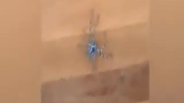 bouncing spider прыгающий паук 10 часов смотреть онлайн