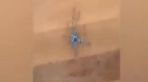 bouncing spider прыгающий паук 10 часов