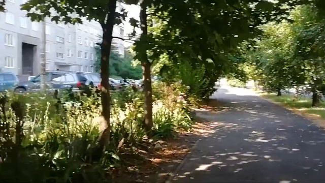 Бензин НАРОДНОЕ ДАСТОЯНИЕ хрен купить смотреть онлайн
