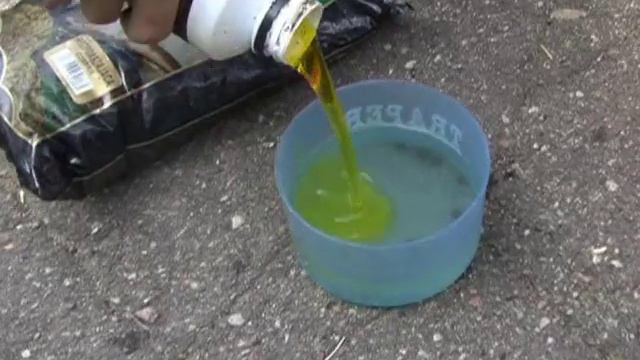 Замес прикормки для ловли плотвы в стоячей воде смотреть онлайн