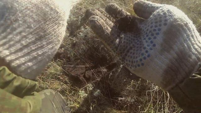 Что можно найти на заброшенных огородах с металлодетектором EQUINOX 800 смотреть онлайн