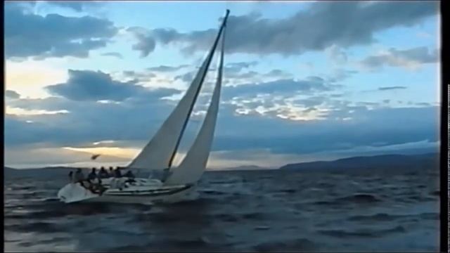 Шутка на песню Т.С.Шаова смотреть онлайн