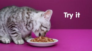 Whiskas Kitten Gravy