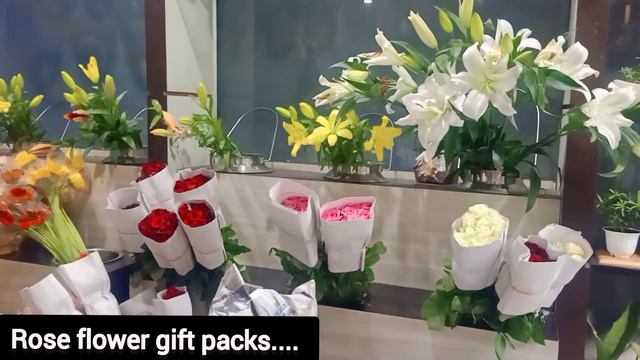 Amazing, Succulents plants shop visit, in Lucknow/beautiful succulents plnts gift shop, tour смотреть онлайн