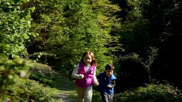 Термобелье Thermoform смотреть онлайн