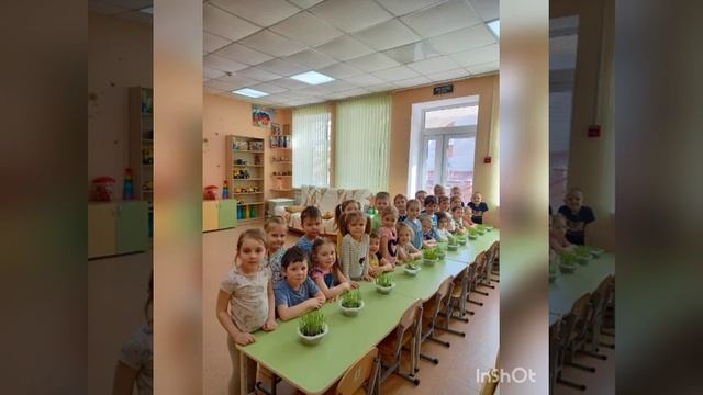 Экологический проект 