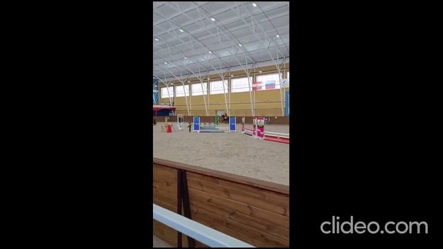 Лошадёнок в конкур. Арт.: 0387 смотреть онлайн