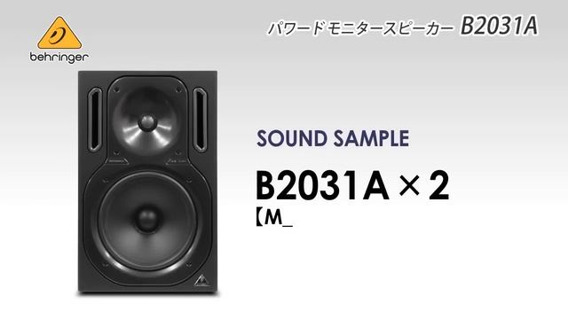 BEHRINGER / パワードモニタースピーカー B2031 A смотреть онлайн