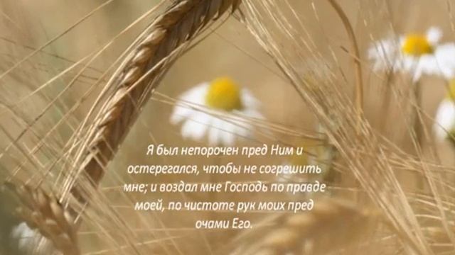 Псалом 17 Возлюблю тебя, Господи! #Псалом #МОЛИТВА #библия #царьдавид #ветхийзавет смотреть онлайн