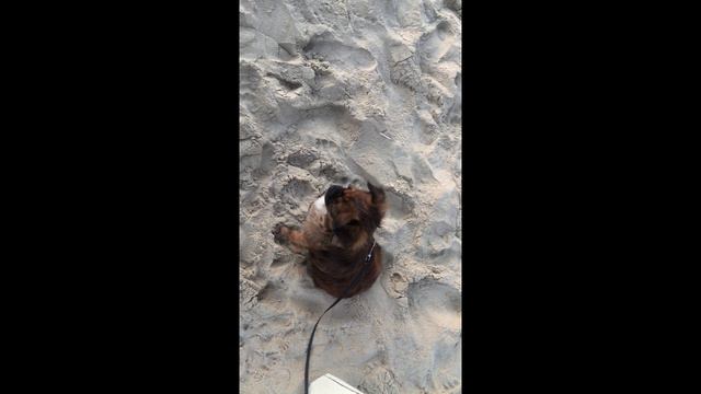 Отдых в Джемете. Москва смотреть онлайн