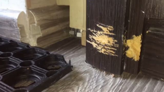 Почему щеночки это радость смотреть онлайн