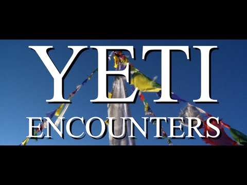 YETI ENCOUNTERS