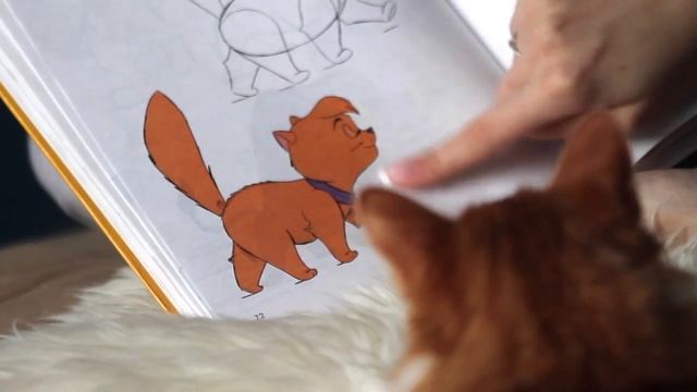 Книга Кристофера Харта - Как нарисовать мультяшки (для начинающих) смотреть онлайн