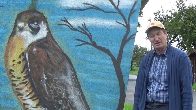 Тема сезона: Ястреб и как от него уберечь голубей..... смотреть онлайн