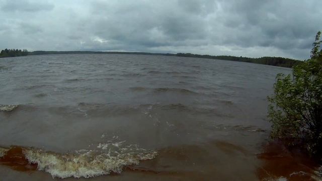 прогулка по июньскому лесу дача под Архангельском смотреть онлайн