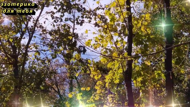 1 ноября народный праздник Иванов день, Проводы осени, Конюховый день. Что нельзя делать. Приметы смотреть онлайн