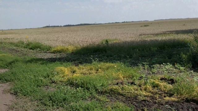 Самая высокая точка Белгородской области (2018) - 7 ч. из 9 смотреть онлайн