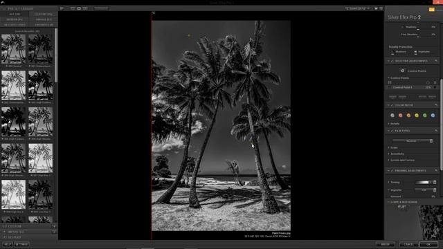 Intro To Silver Efex Pro (Tutorial) смотреть онлайн