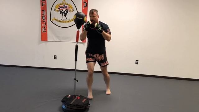 Best Punching Bag Ever? New Reflex Bag Review & Demonstration | Reflex Bag | Cobra Bag By MaxxMMA