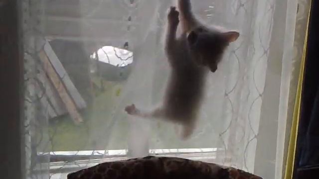 маркиз смотреть онлайн