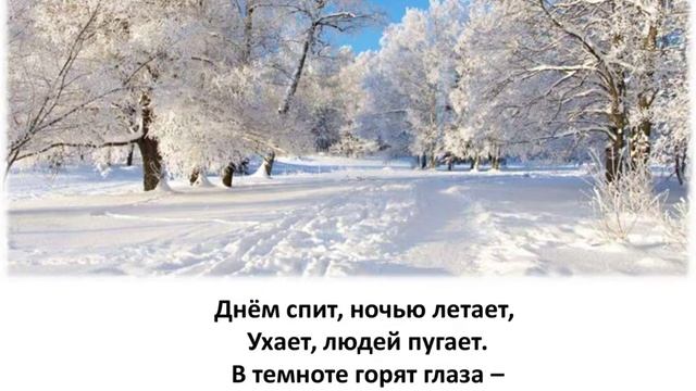 Интерактивная игра "Зимующие птицы" смотреть онлайн