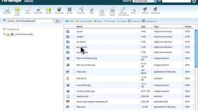 wordpress tutorial-Backing up your server files смотреть онлайн