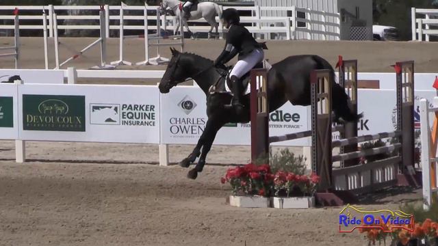222S Mary Hansen on Zip Wyatt Novice Rider Show Jumping USEA AEC August 2018 смотреть онлайн
